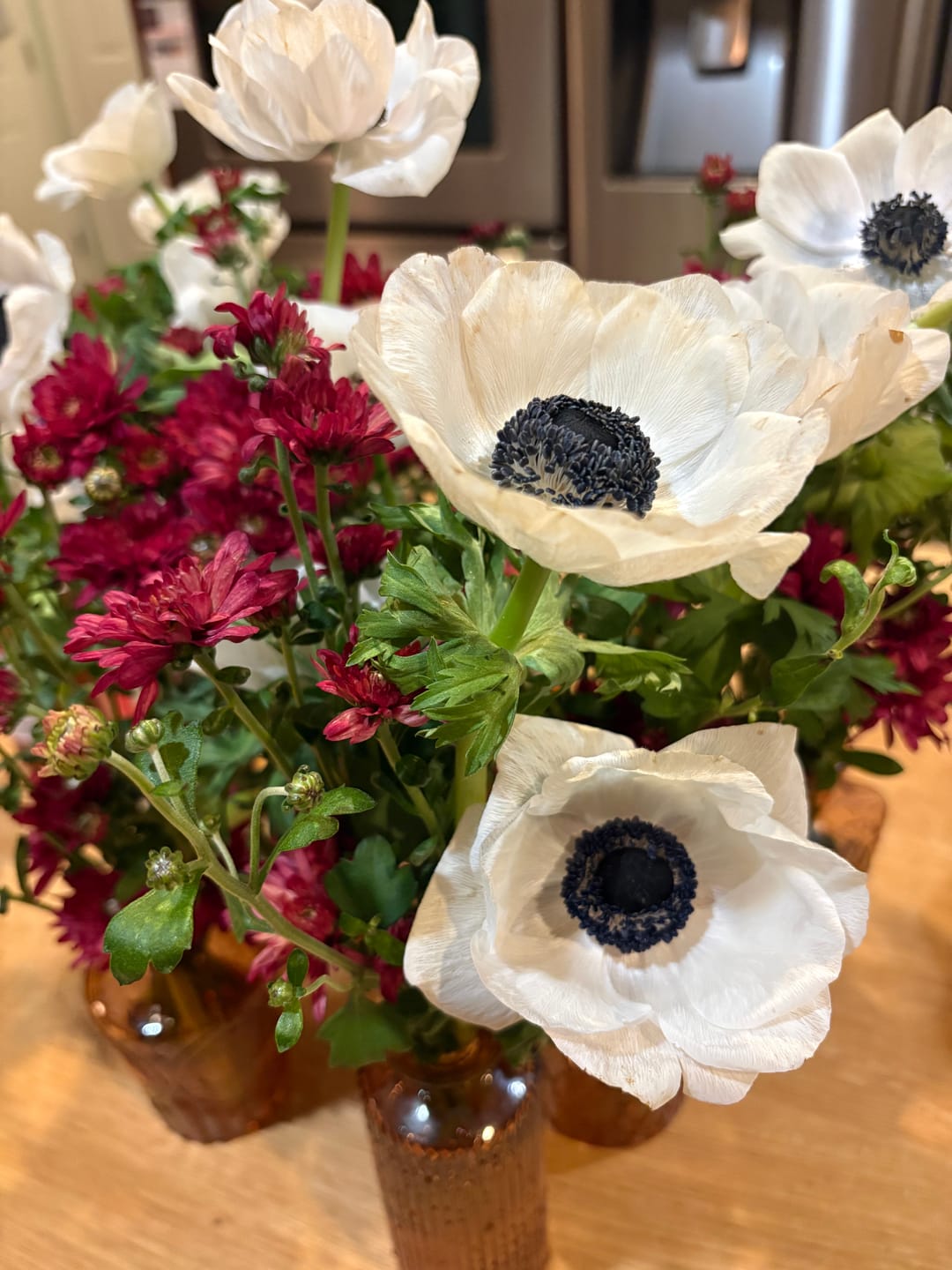 Customer photo review of White and Black Anemone