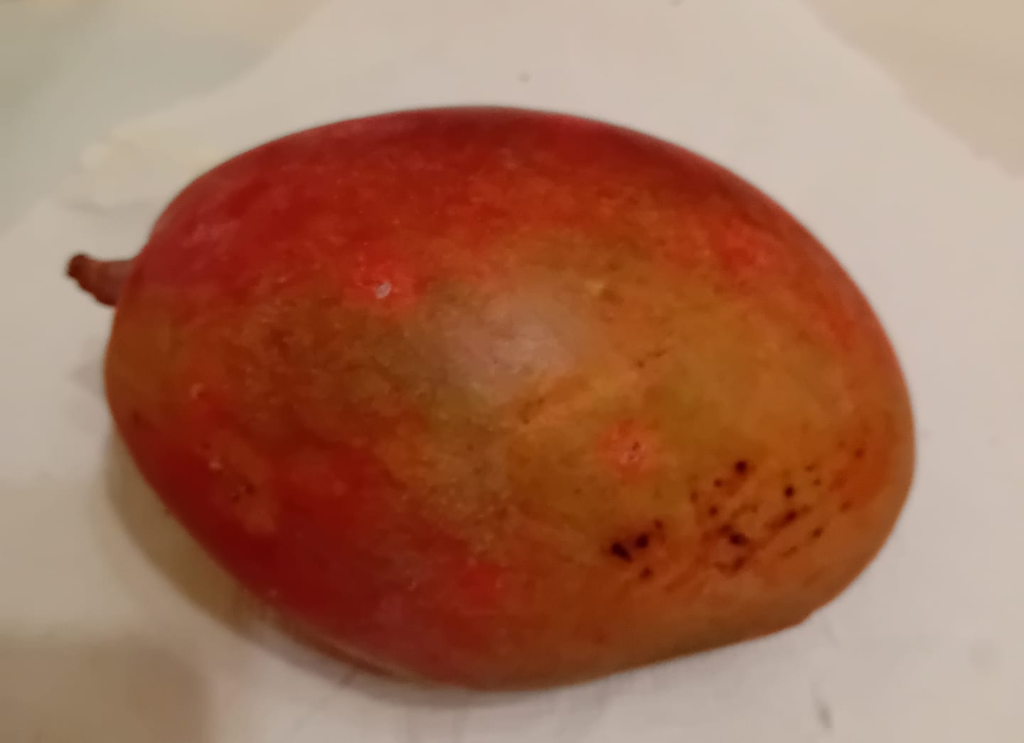 Customer photo review of Mango-Raritäten Mix von Julian Aktionswoche %