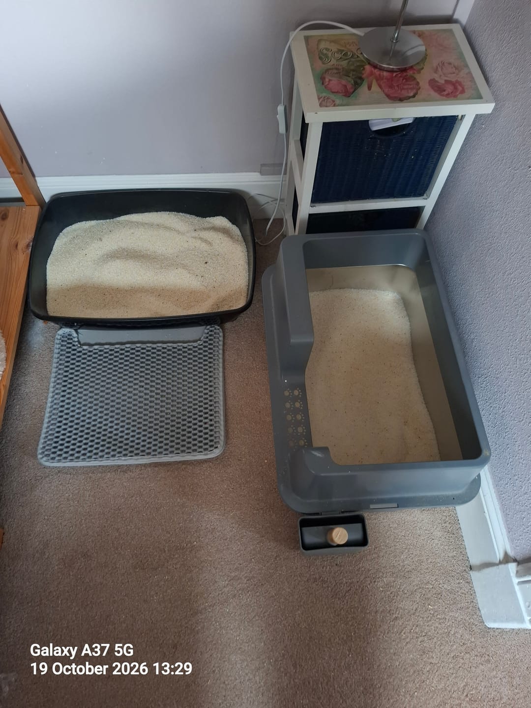 Customer photo review of Fit Litter