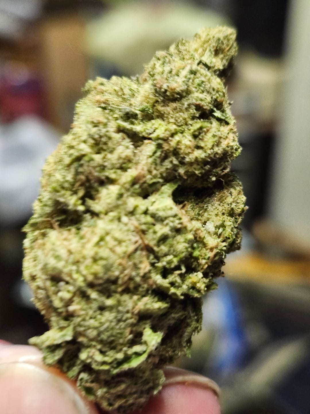 Customer photo review of Gluetopia THCA Flower