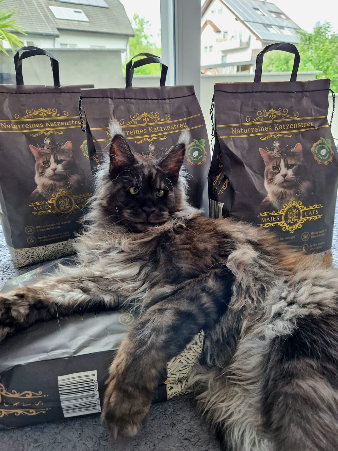Customer photo review of Katzenstreu 2+1 Aktion