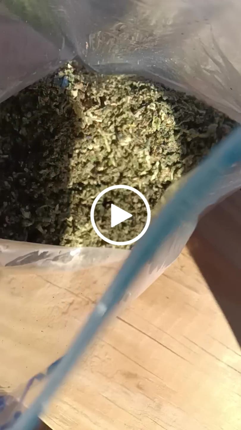 Customer video review of No1. LA Pop Rock THCa Shake (Wholesale)