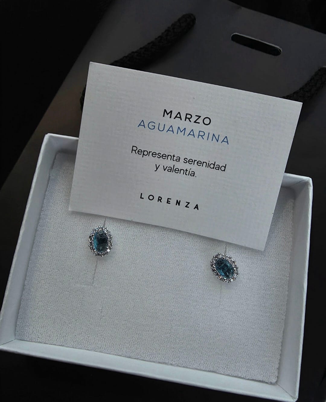 Customer photo review of Par Arete Ovalado Birthstone Plateado