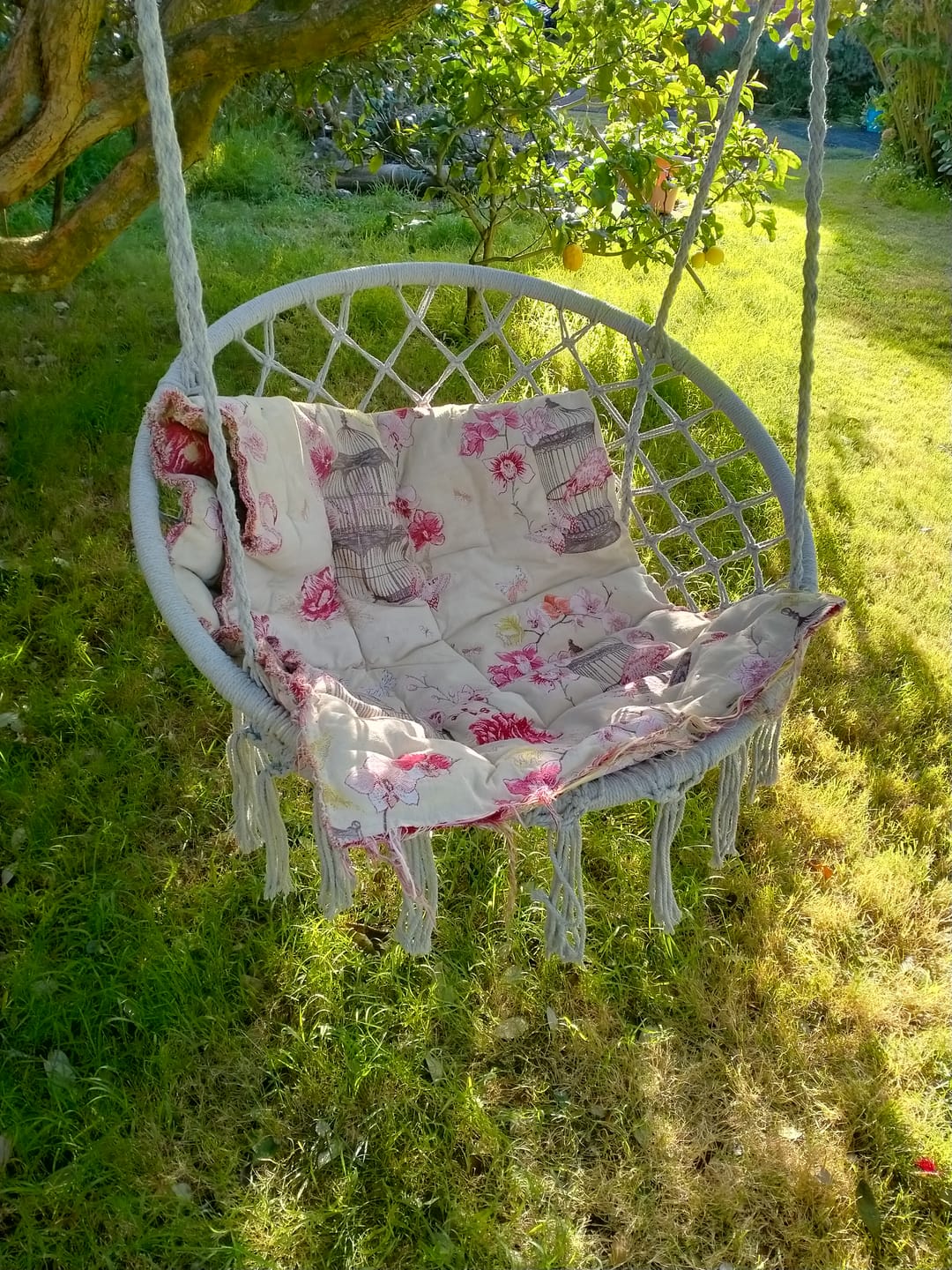 Customer photo review of Macrame Hanging Chair