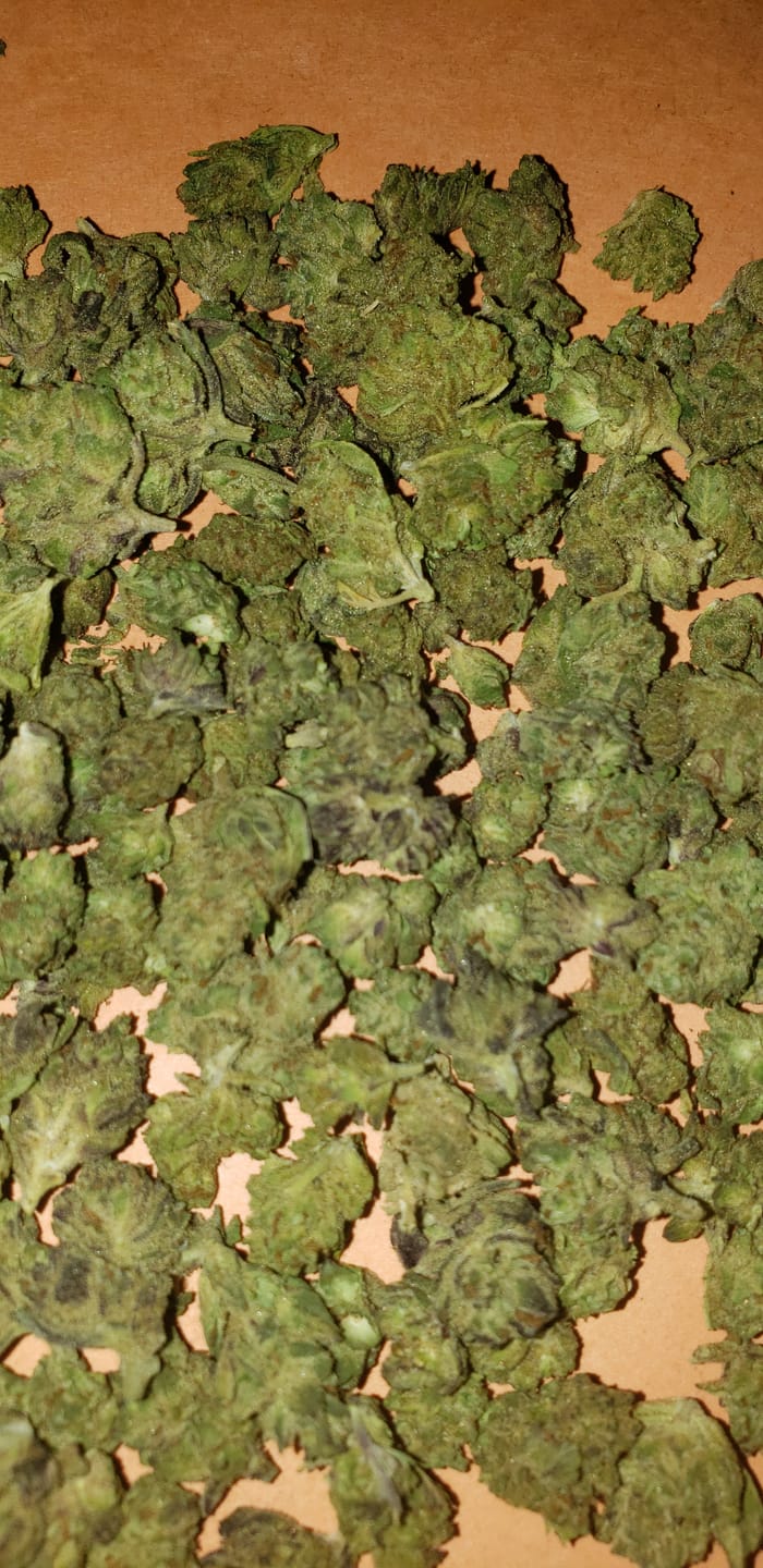Customer photo review of Garlic Cookies | THCA Flower Smalls