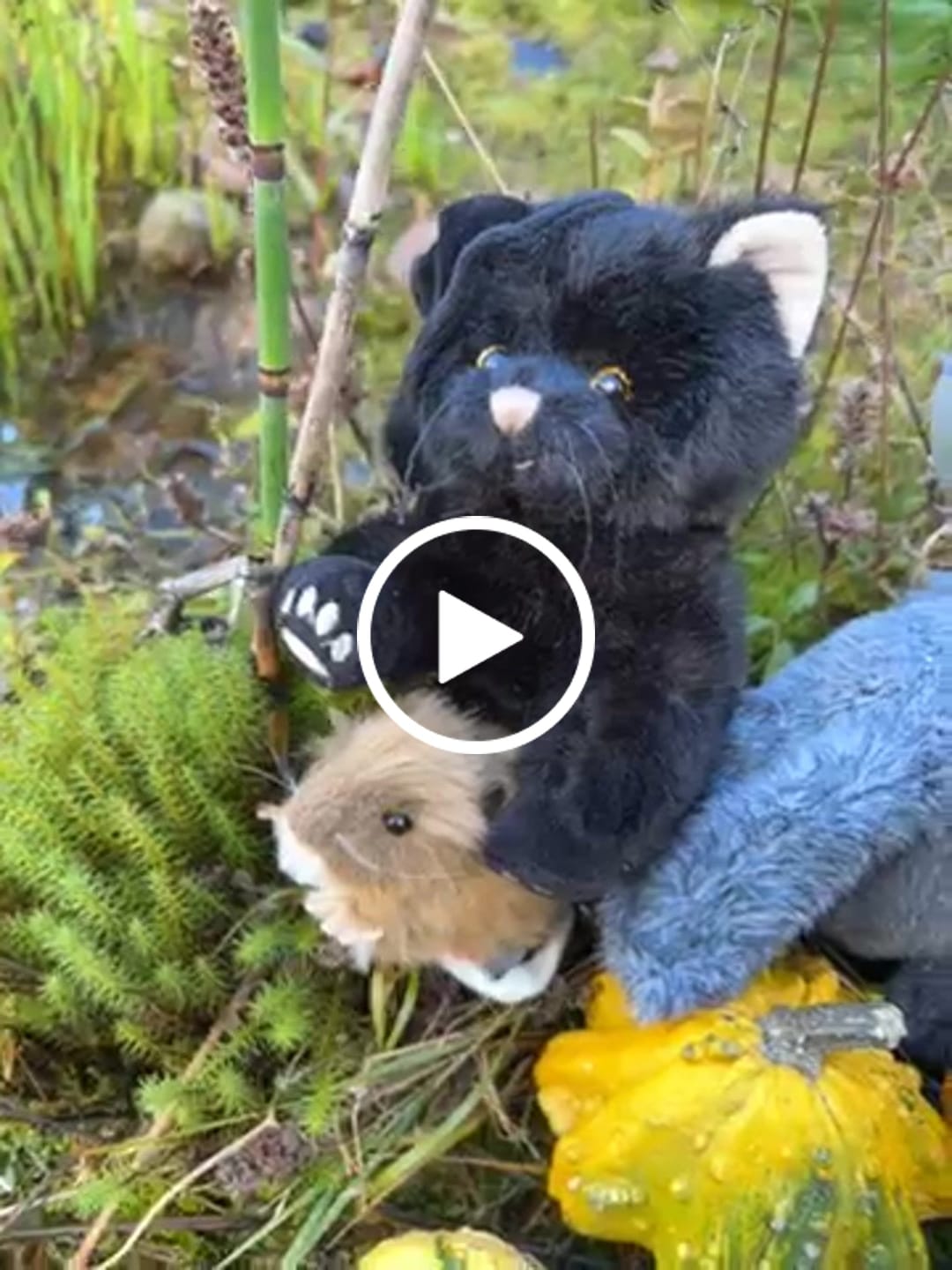Customer video review of Spooky Bambo Kosedyr 25 cm | Bukowski Design