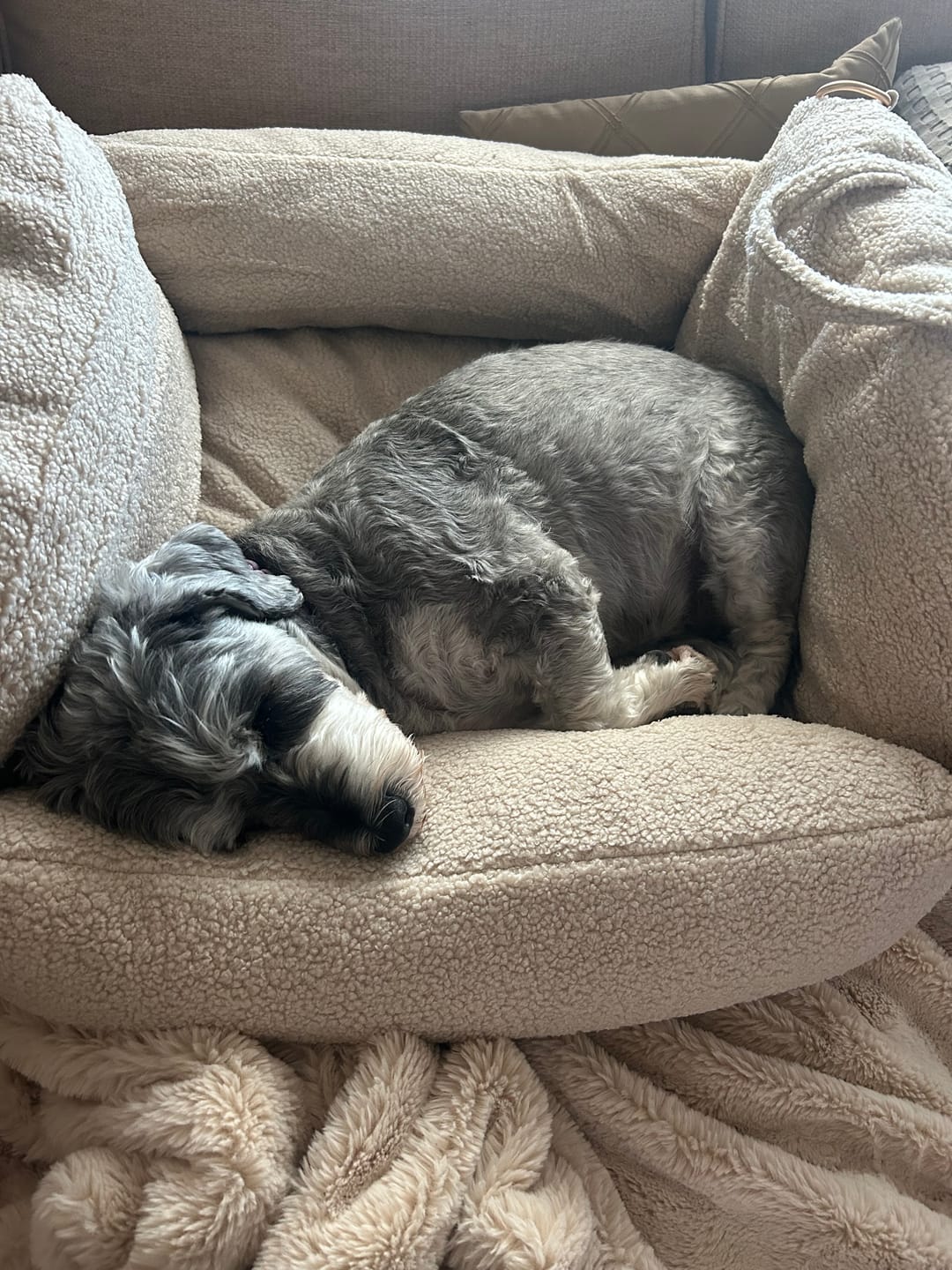 Customer photo review of Hazelnut | The Cosy Car Seat