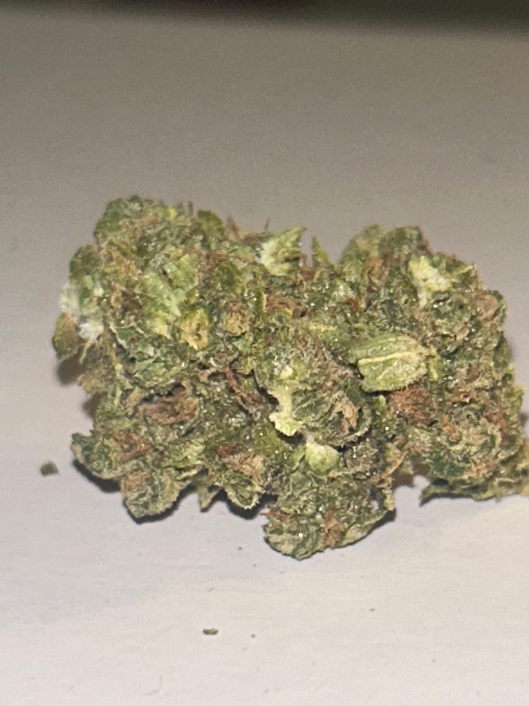 Customer photo review of Watermelon Runtz - Bulk - Indica