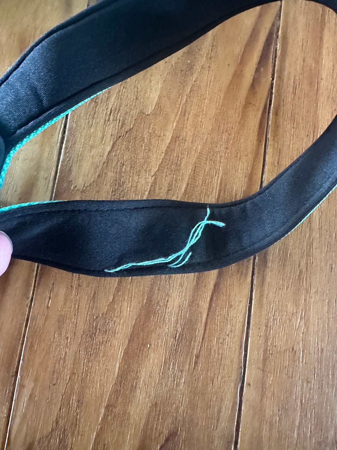 Customer photo review of The Good Dog Bungee Lead