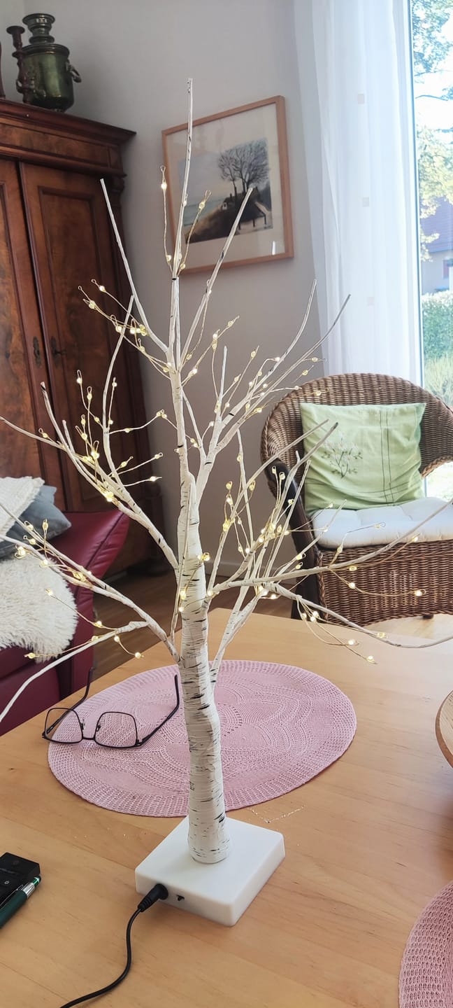 Customer photo review of Bäumlein® - 144 LEDs (Winter Edition)