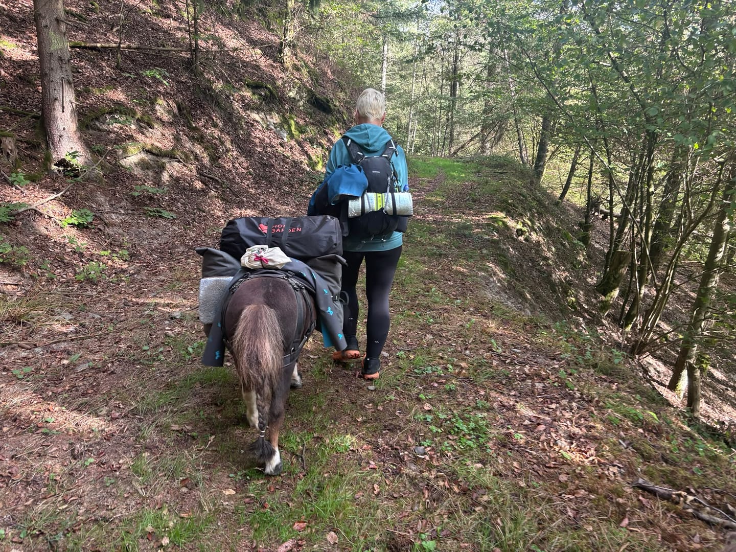 Customer photo review of Pala Premium
