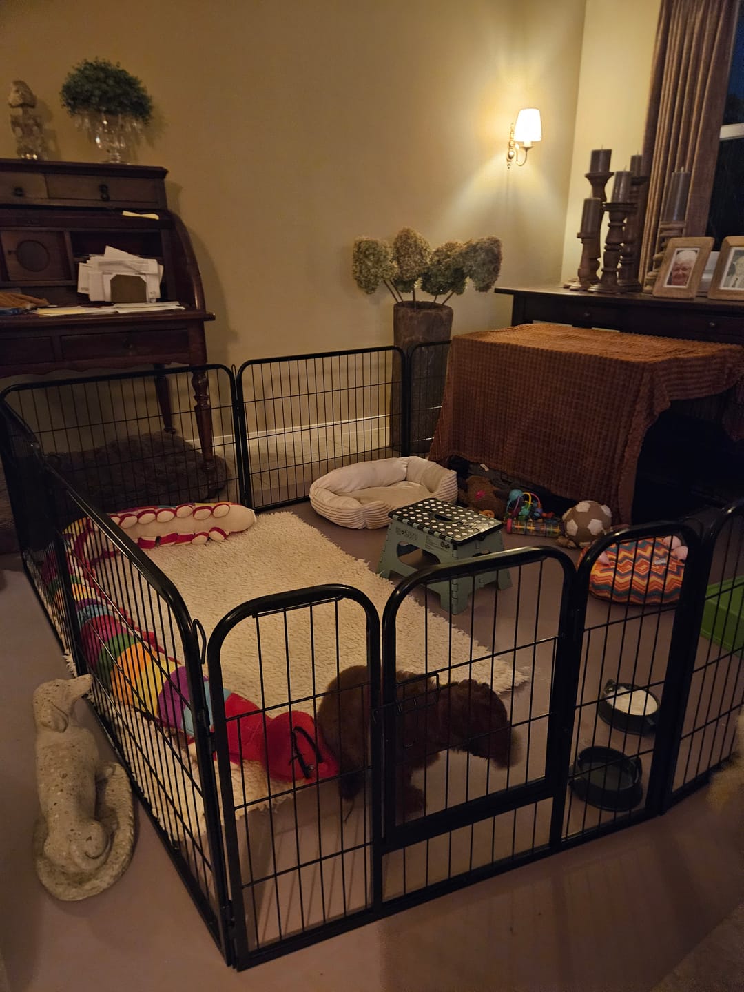 Customer photo review of Avalo Puppyren Ø210cm Opvouwbaar Zwart - 8 panelen 80x60cm - Dierenren / Konijnenren / Hondenren