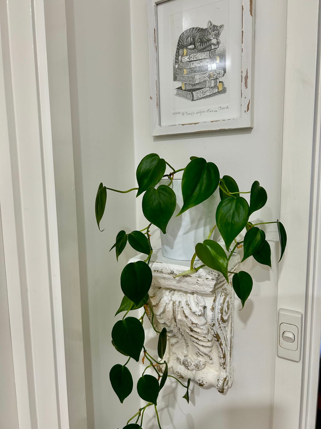 Customer photo review of Brigitte French Provincial Corbel Wall Sconce, Distressed White Acanthus 24cm