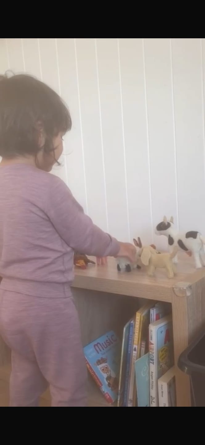 Customer photo review of Felt Farm Animals Toys Set - Set of 10 Toys