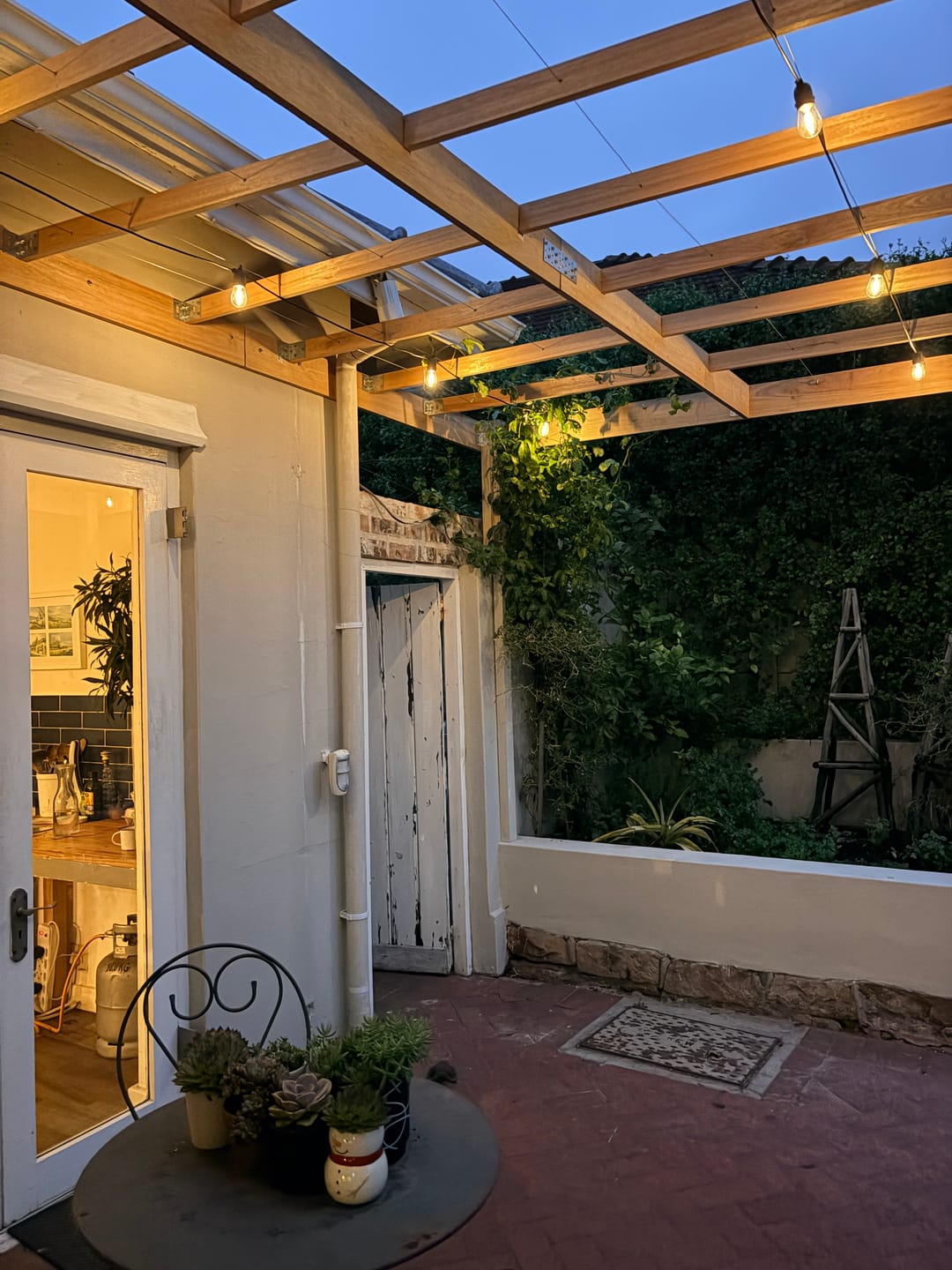 Customer photo review of Solar Festoon Bulb String Lights