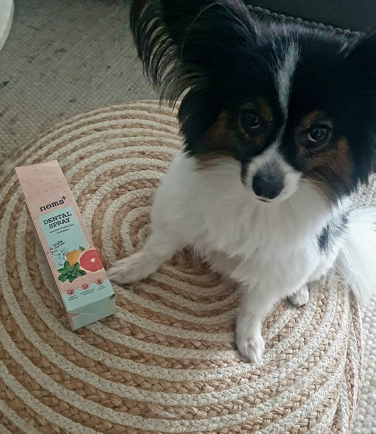 Customer photo review of Dentalspray für Hunde & Katzen
