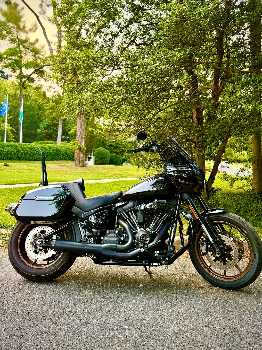 Customer photo review of 32L - Darkin Large Quick Mount Painted Hard Saddlebags for Harley Softail Low Rider S FXLRS