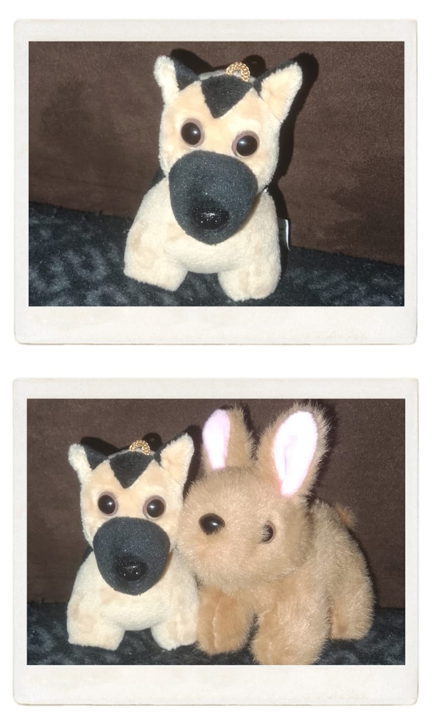 Customer photo review of Woof Woof the Dog Keyring
