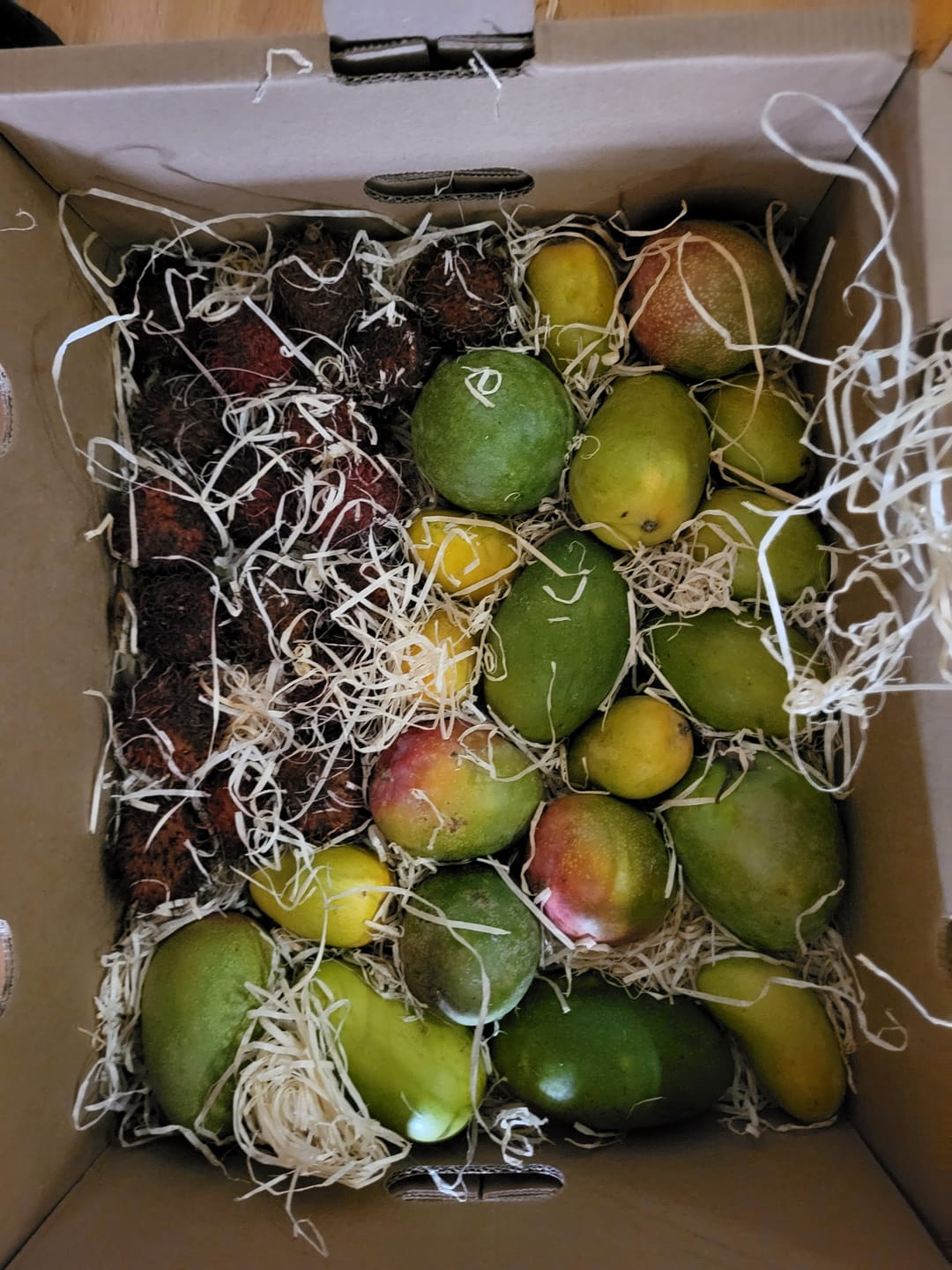 Customer photo review of Baby-Mango Mix "Wild Wonders" von Julian