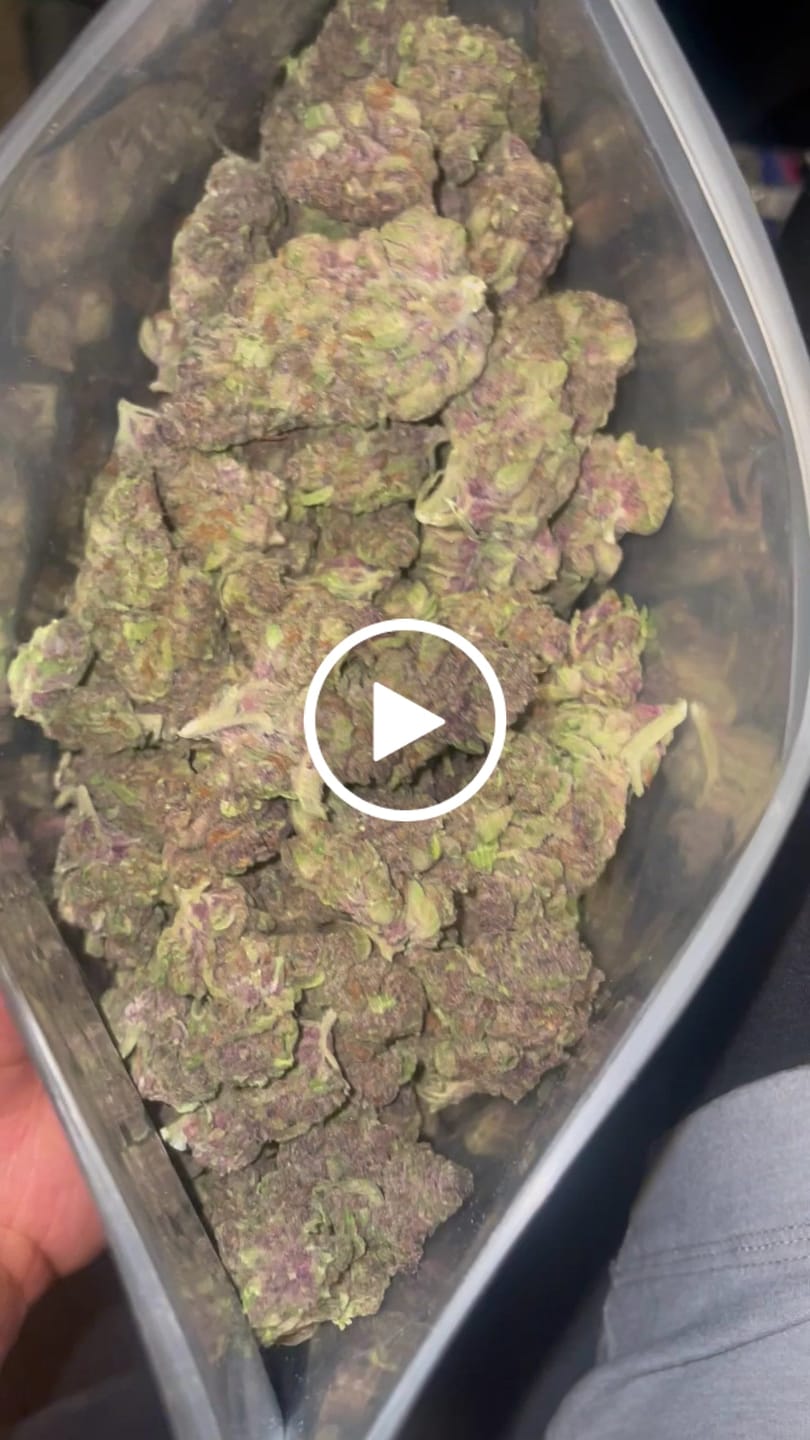 Customer video review of THCA Queen