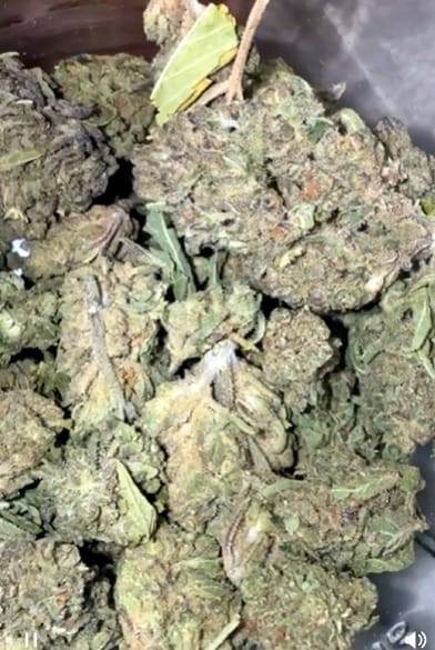 Customer photo review of KIND - Lava Cake - 28 Grams - Indica