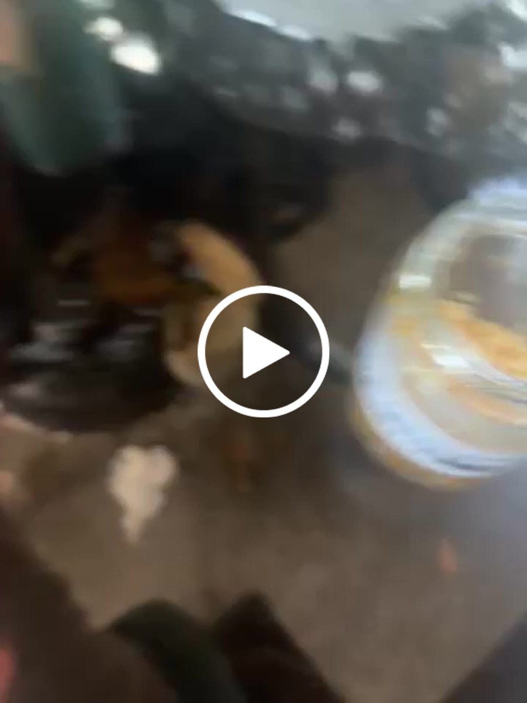 Customer video review of Bulk Live Resin Diamonds