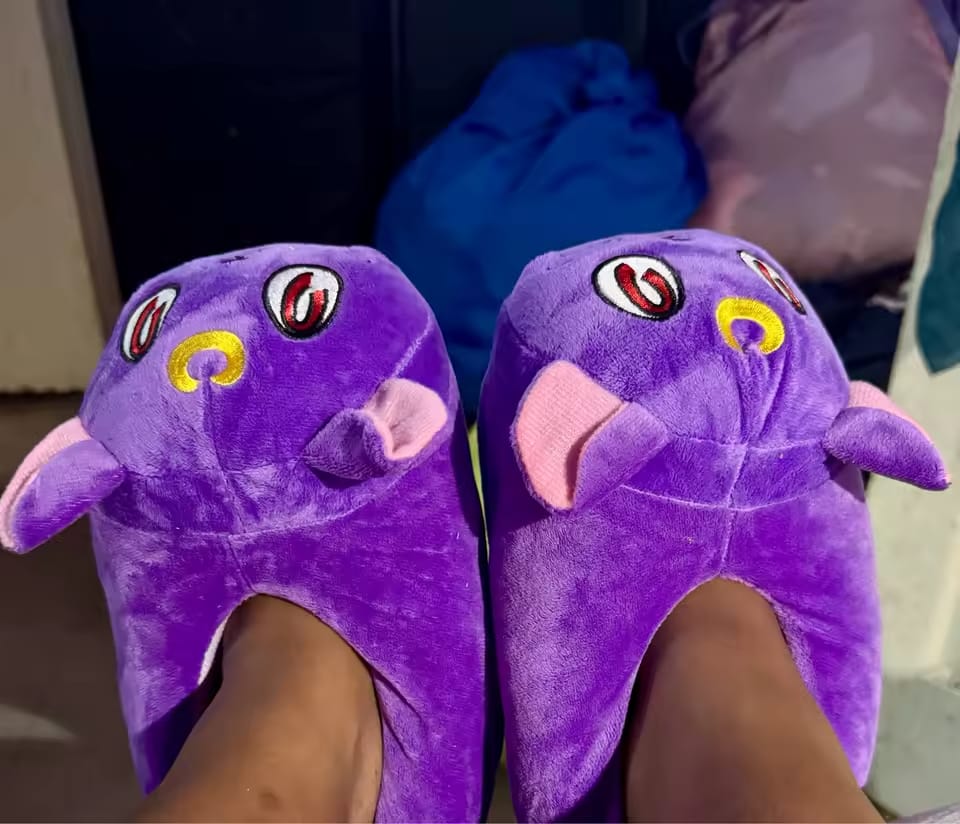 Customer photo review of Chaussons Chat Violet