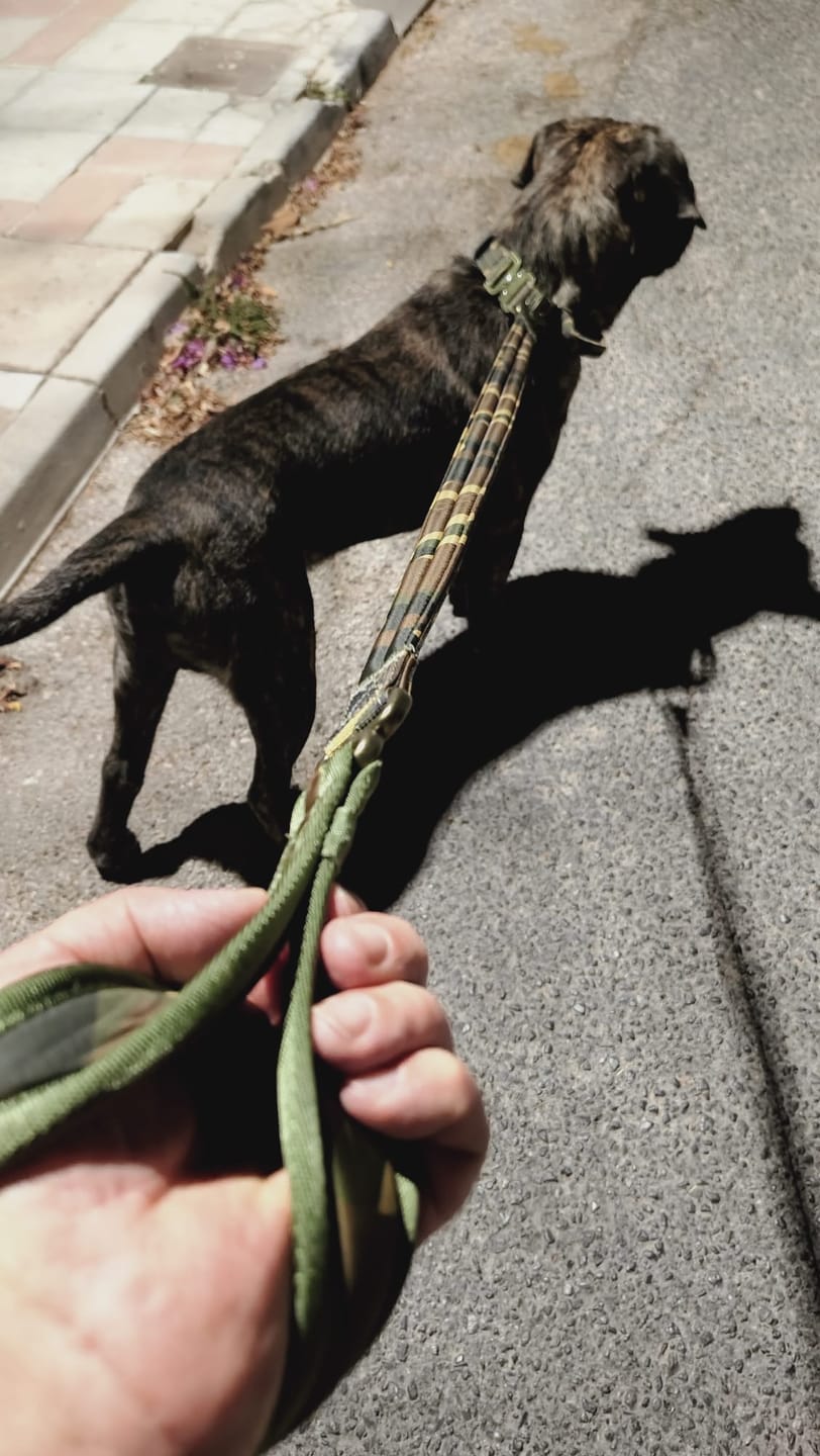 Customer photo review of 1.2m Mini Combat® Leash - Camouflage Green