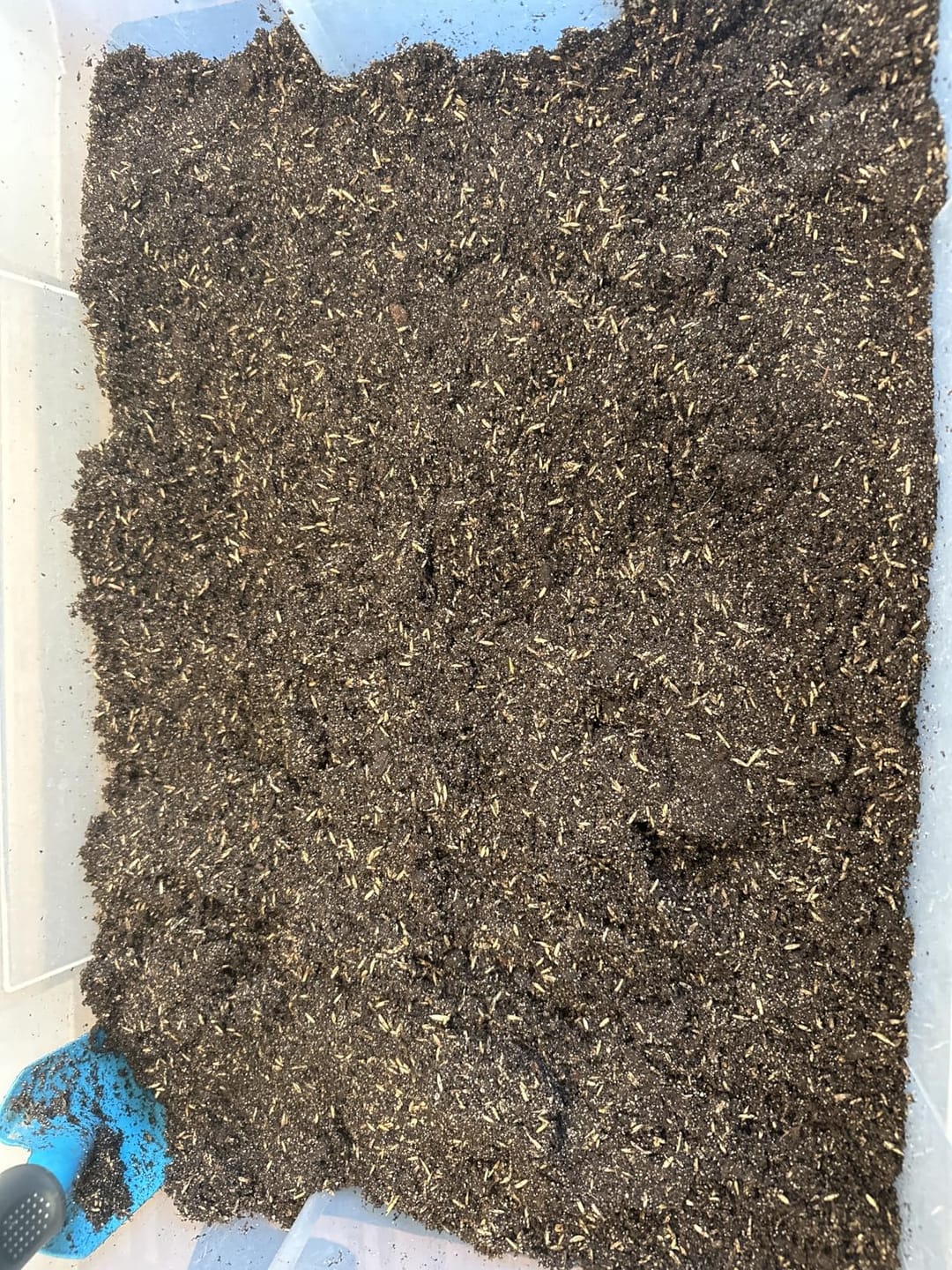Customer photo review of Floragard Rasenerde 40 L – lockeres Rasensubstrat mit Quarzsand und Dünger zur Neuanlage, Ausbesserung & Pflege von Rasenflächen – fördert schnelle Keimung sowie grünen & gleichmäßigen Rasen
