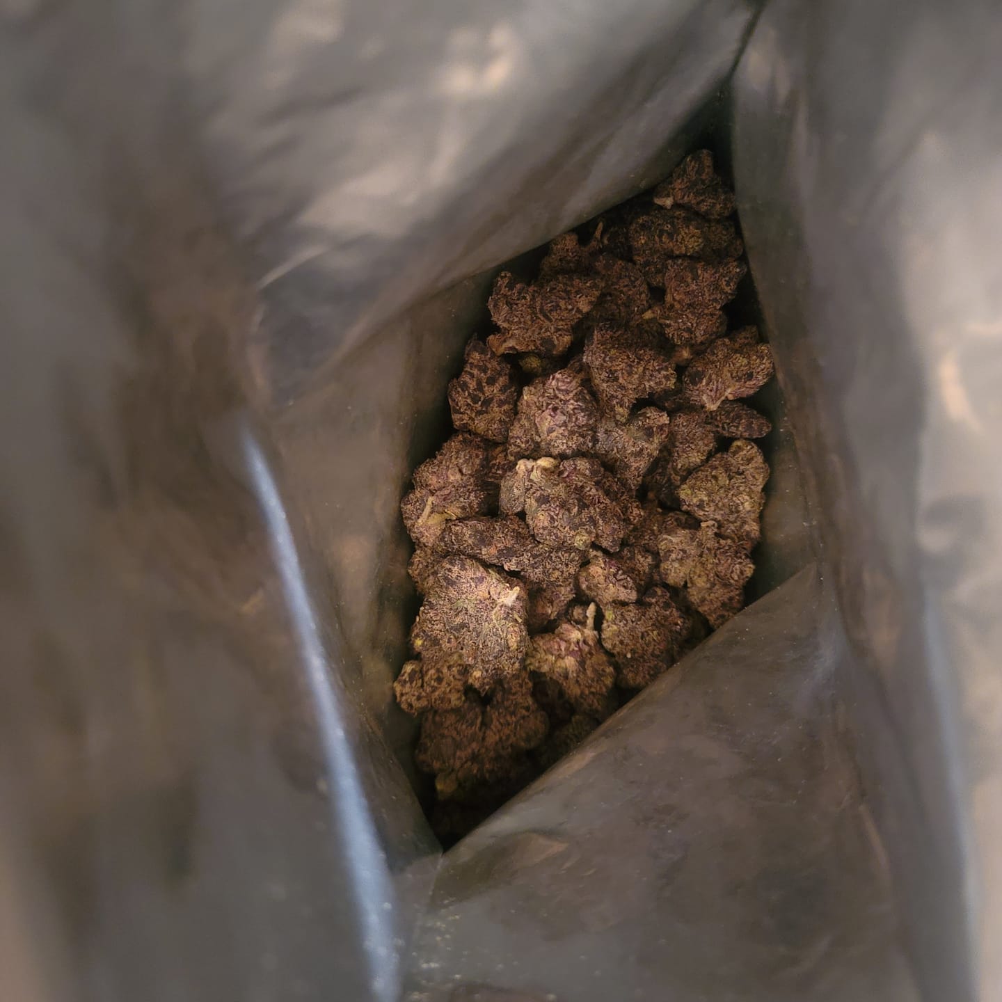 Customer photo review of Black Cherry Runtz Indoor - Bulk - Indica