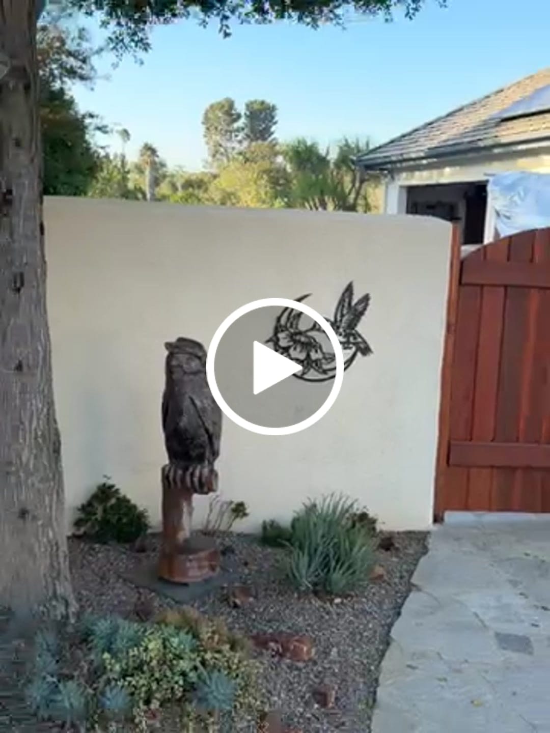Customer video review of Shipping Protection
