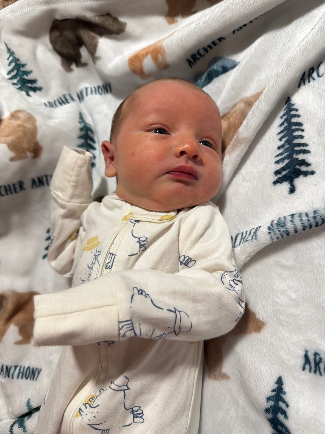 Customer photo review of Bears and Mountains Personalized Baby Blanket