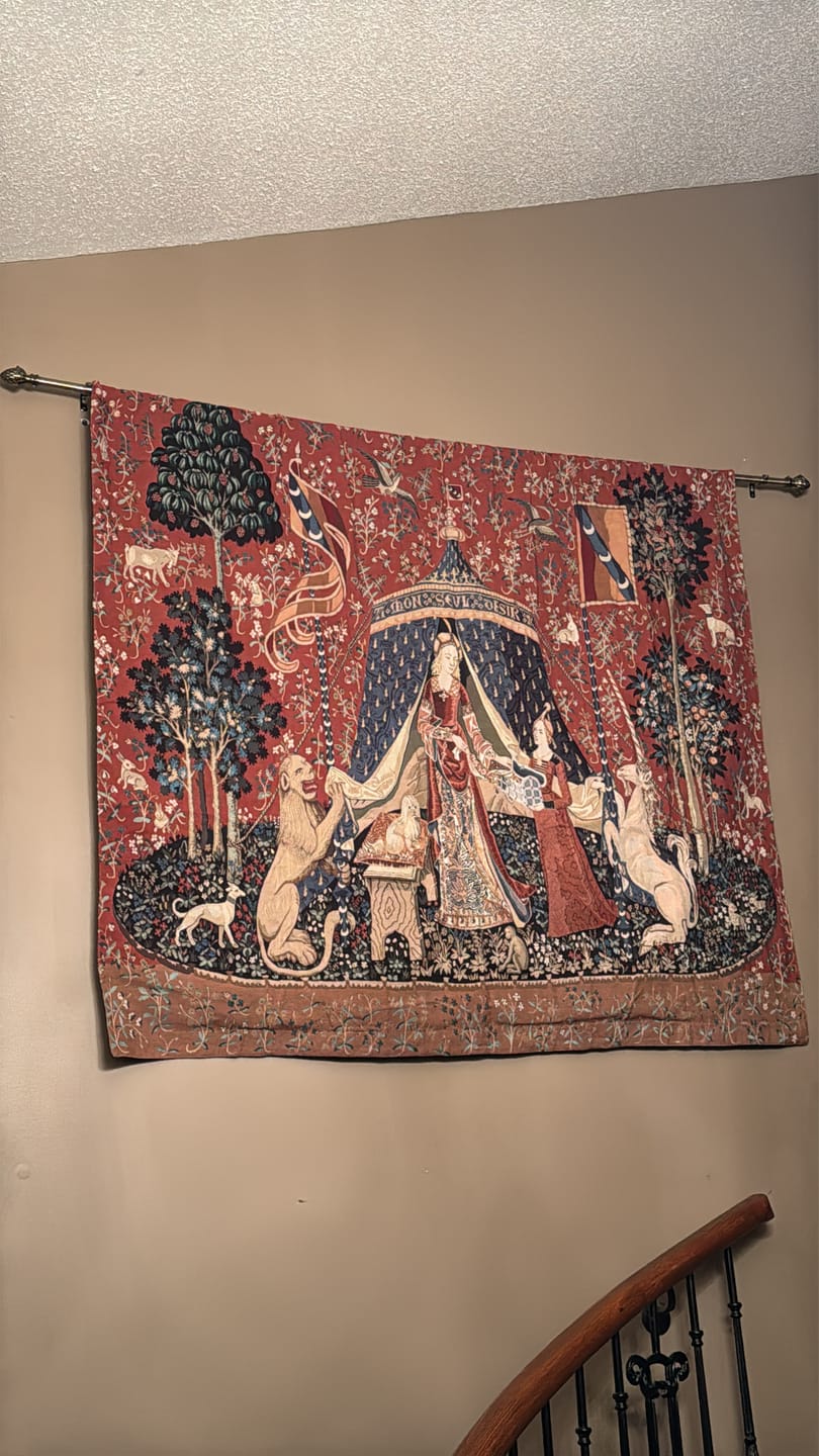 Customer photo review of Adjustable Tapestry Rod