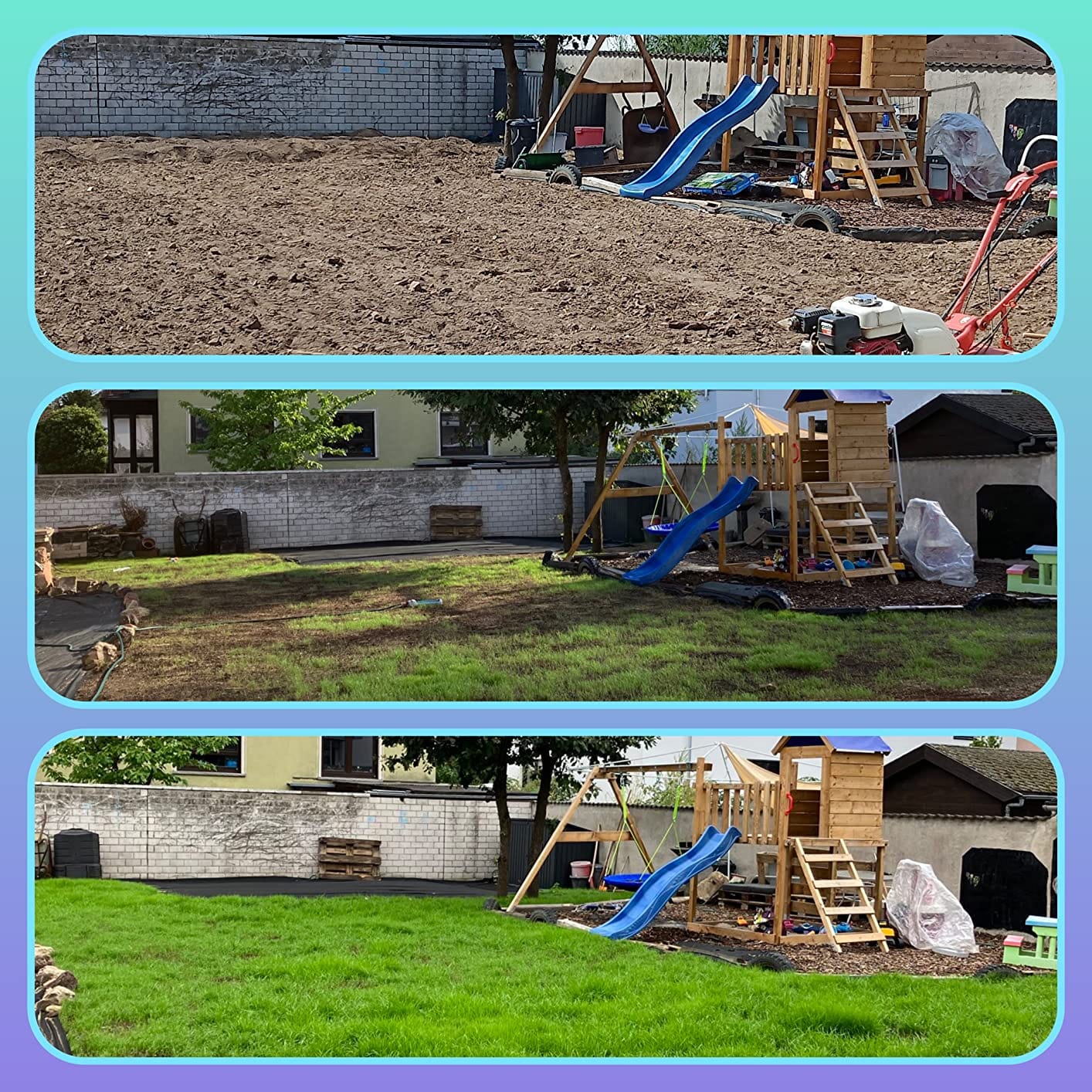 Customer photo review of HEGA Grasland Rasensamen, Sport und Spiel, Grassamen, Saatgut, Rasen, Gras, Sportrasen, Spielrasen