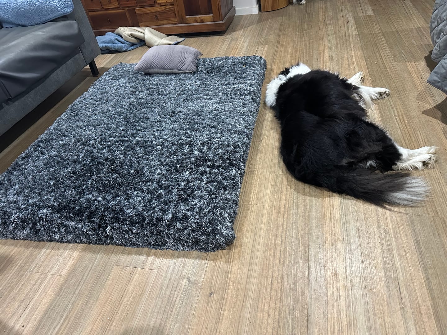 Customer photo review of Premium SuperMat Calming Bed