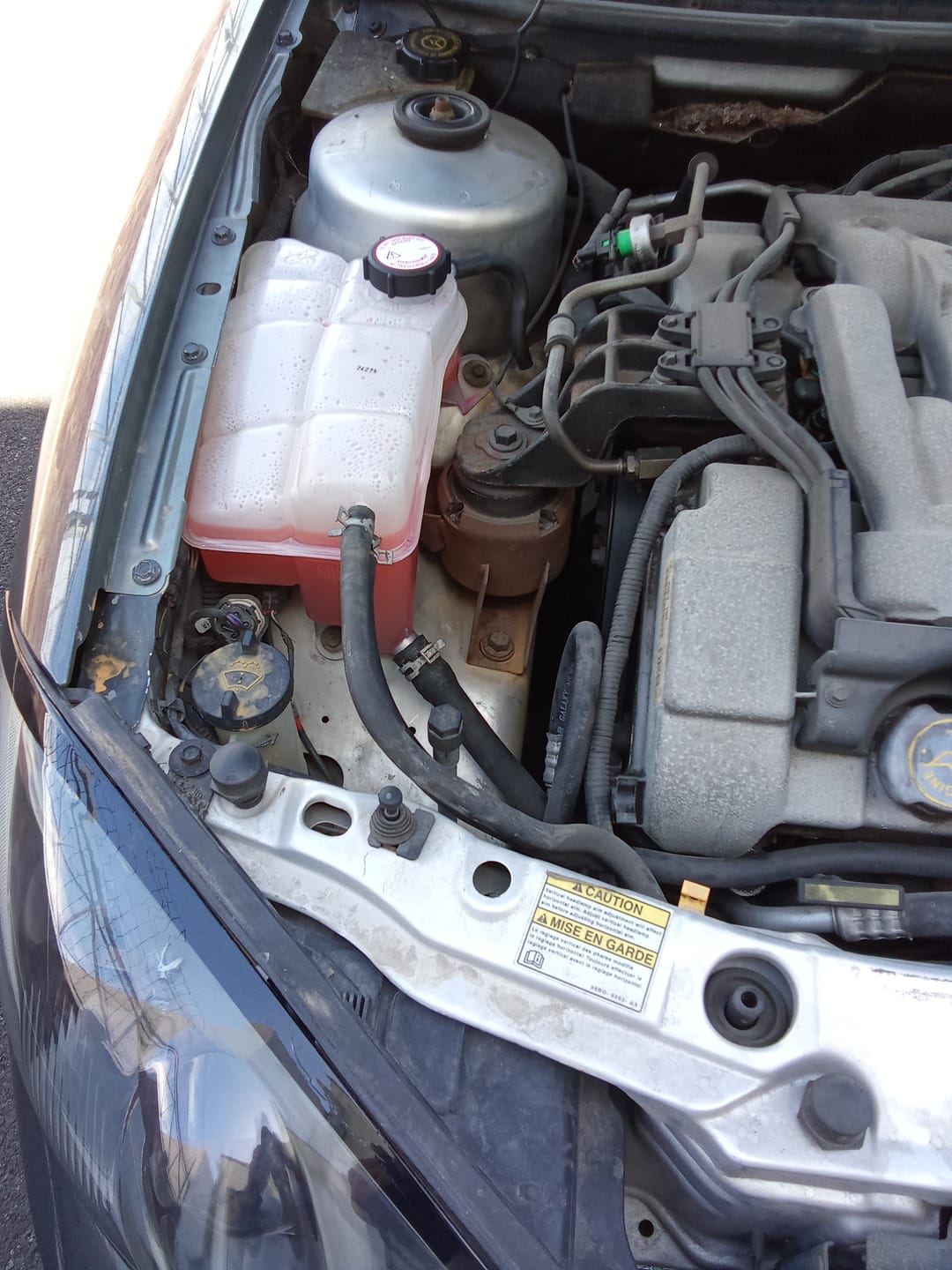 Customer photo review of Dorman Engine Coolant Reservoir Pressurized for 2000-98 Ford Contour 2000-98 Ford Mystique 2001-99 Mercury Cougar 2000-98 Mercury Mystique 603-597