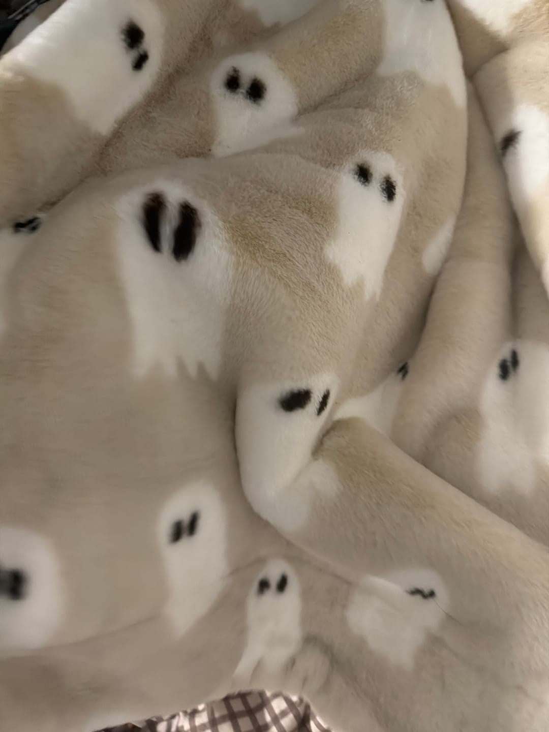 Customer photo review of Lush Ghosts Blanket