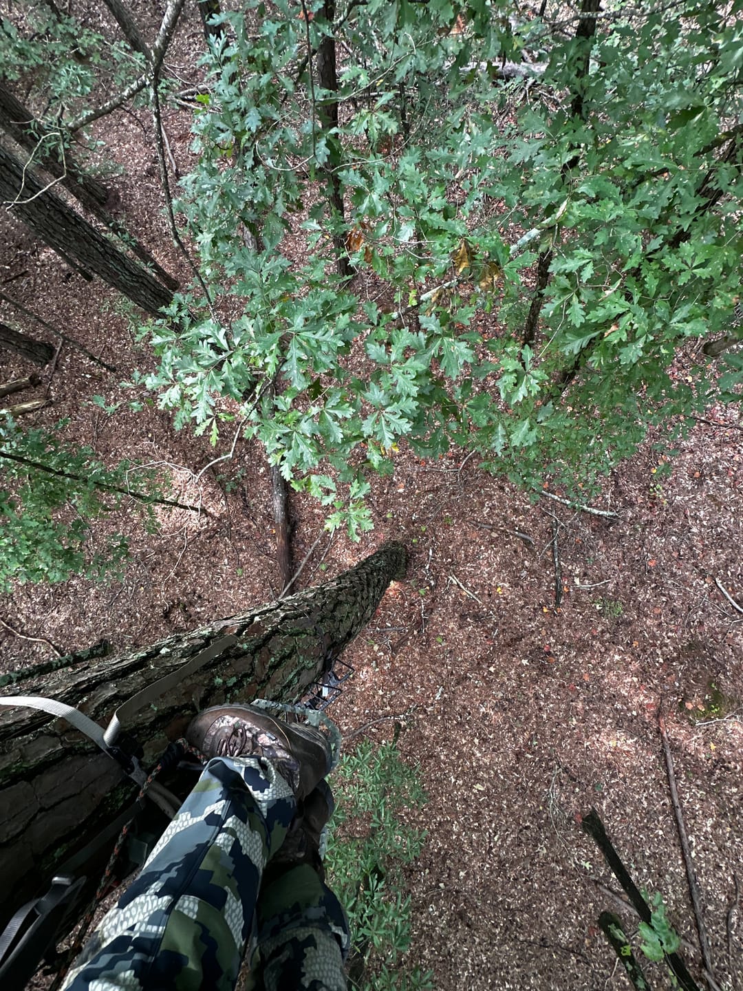 Customer photo review of BEAST GEAR ONE STICK