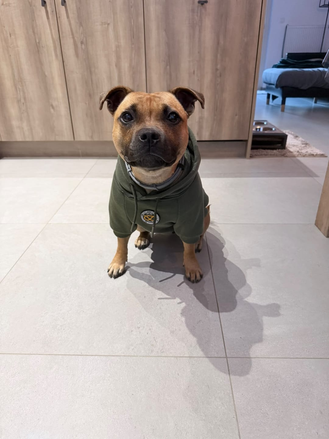 Customer photo review of Staffordshire Bull Terrier 1935® Treat Bag