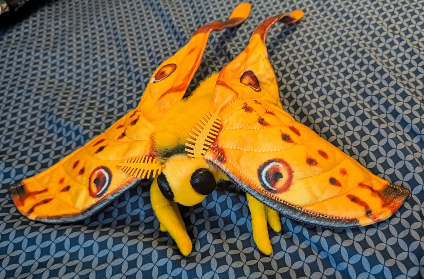 Customer photo review of Comet Moth Soft Stuffed Plush Toy