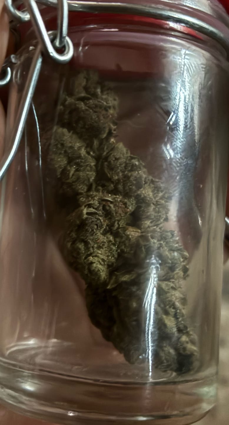 Customer photo review of Velvet Cherries Indoor - Bulk - Indica