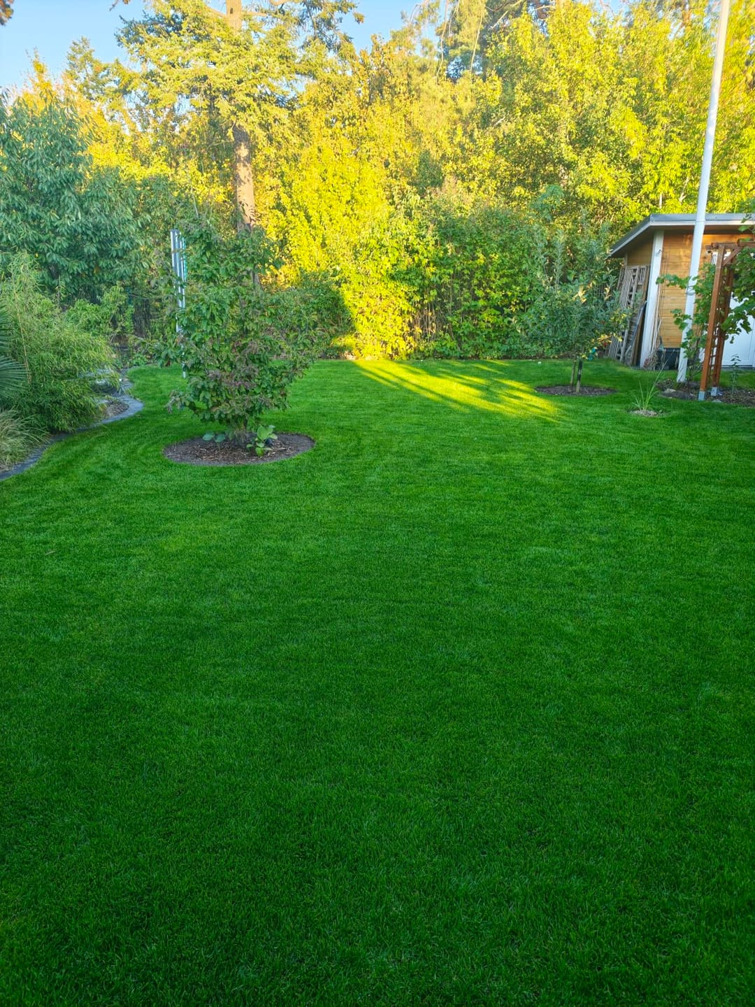 Customer photo review of Beckmann Profi Bio Herbstrasendünger 20kg, Herbst - Rasendünger, Kalium - Dünger für 500 m²