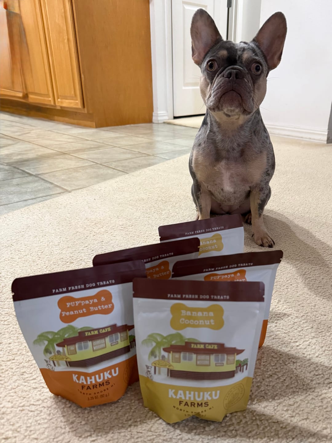 Customer photo review of PUP'paya & Peanut Butter Doggie Treats