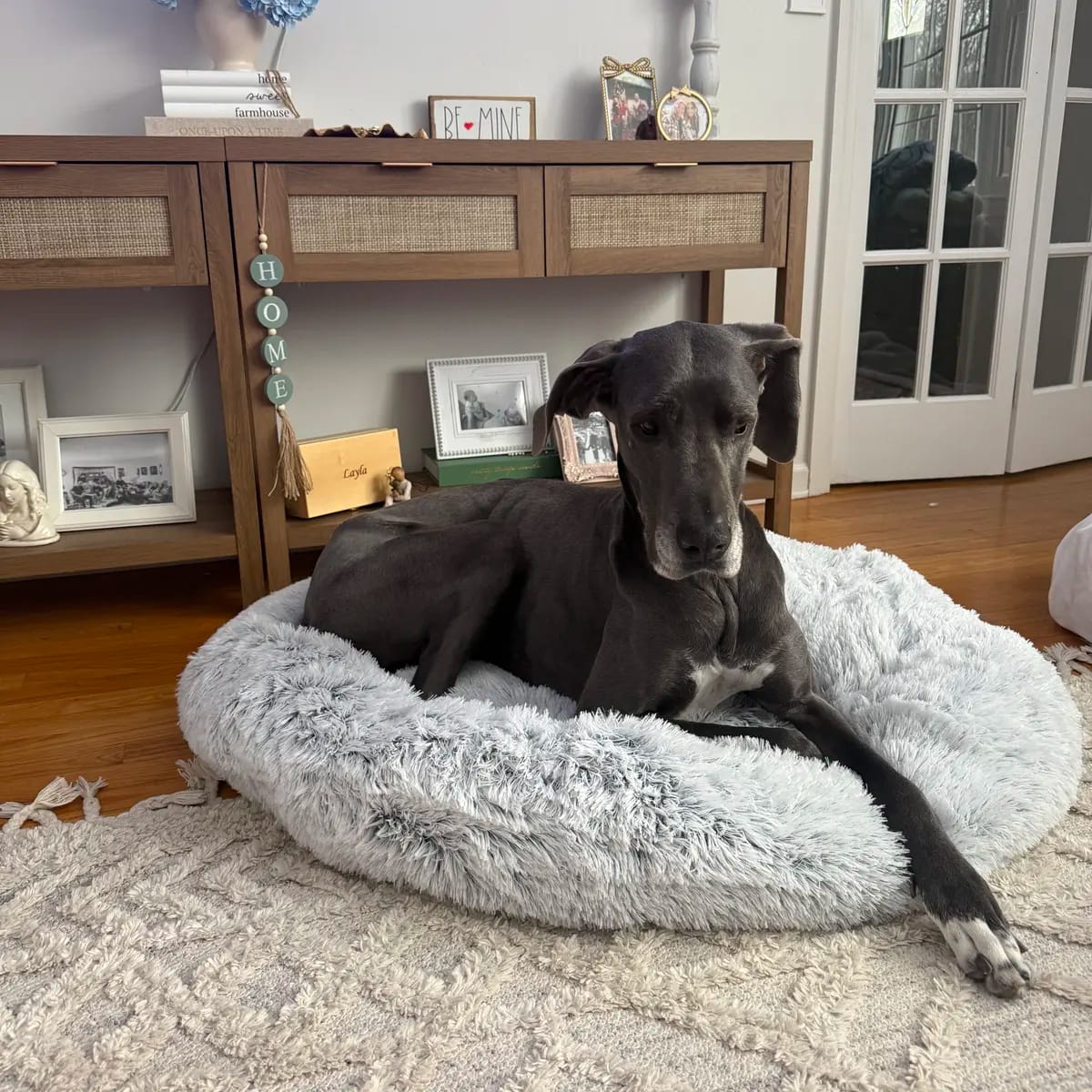 Customer photo review of Calming Orthopedic Dog Bed