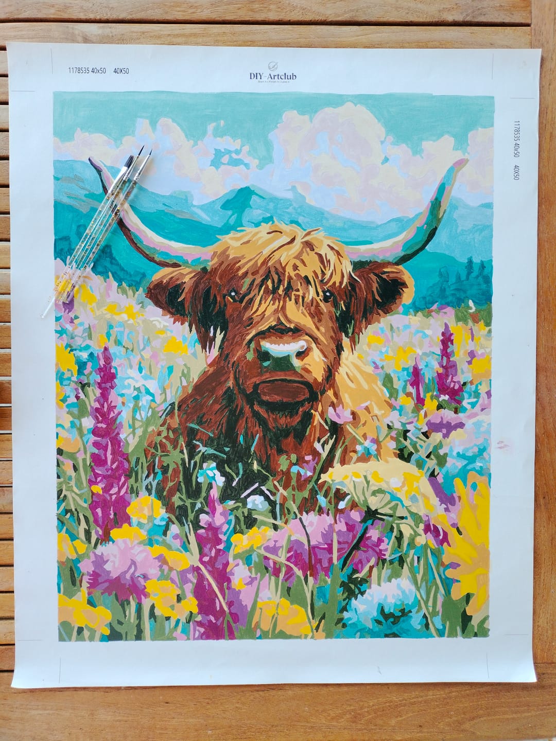 Customer photo review of Highland in Bloom | Paint by Number