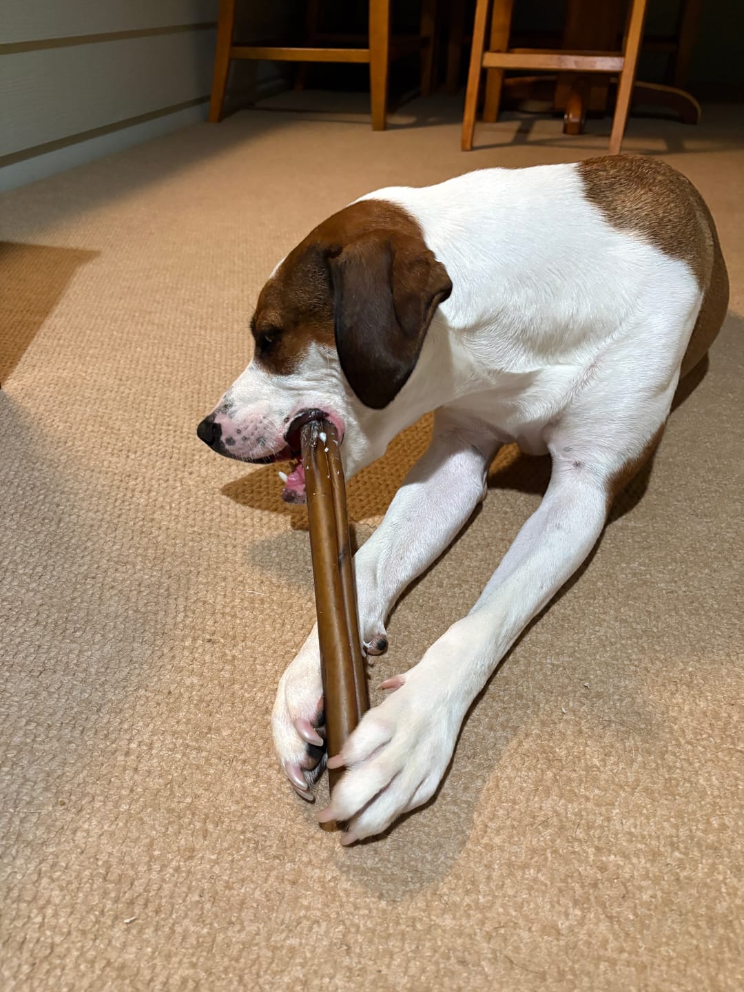 Customer photo review of Super Bull Sticks