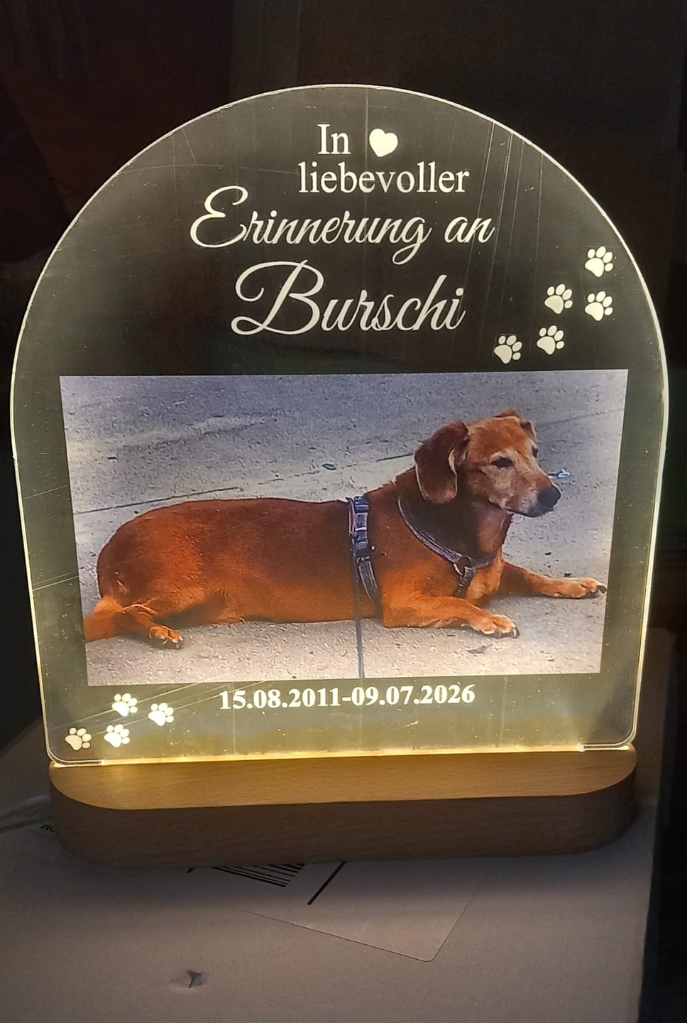 Customer photo review of Zur liebevollen Erinnerung – LED-Lampe für Hund/Katze