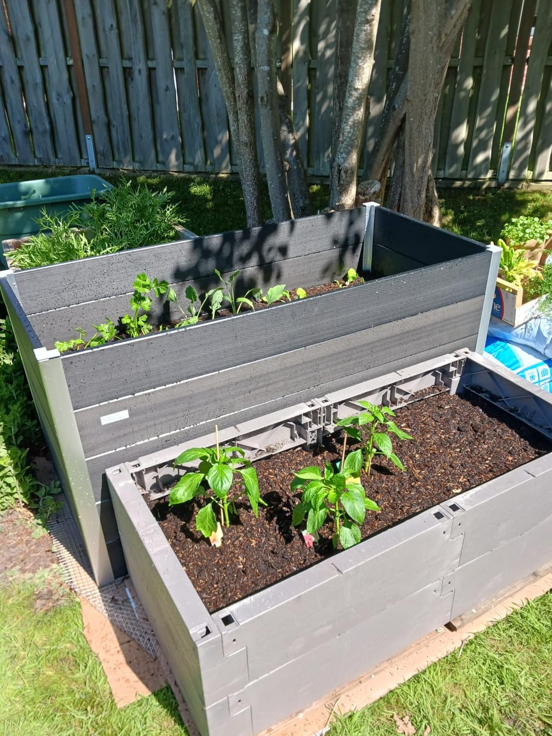 Customer photo review of 40 L Floragard Uni Bio Hochbeet Kompost, Komposterde, Gartenkompost
