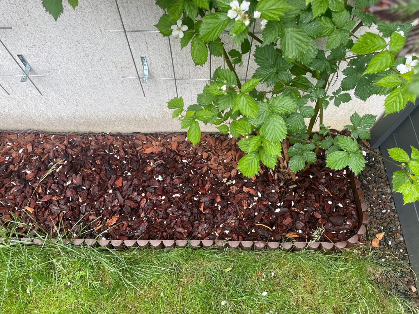 Customer photo review of Floragard Pinien - Rinde, Pinienrinde, grob 25-40mm, Rindenmulch, Bodenabdeckung aus reiner mediterraner Pinie