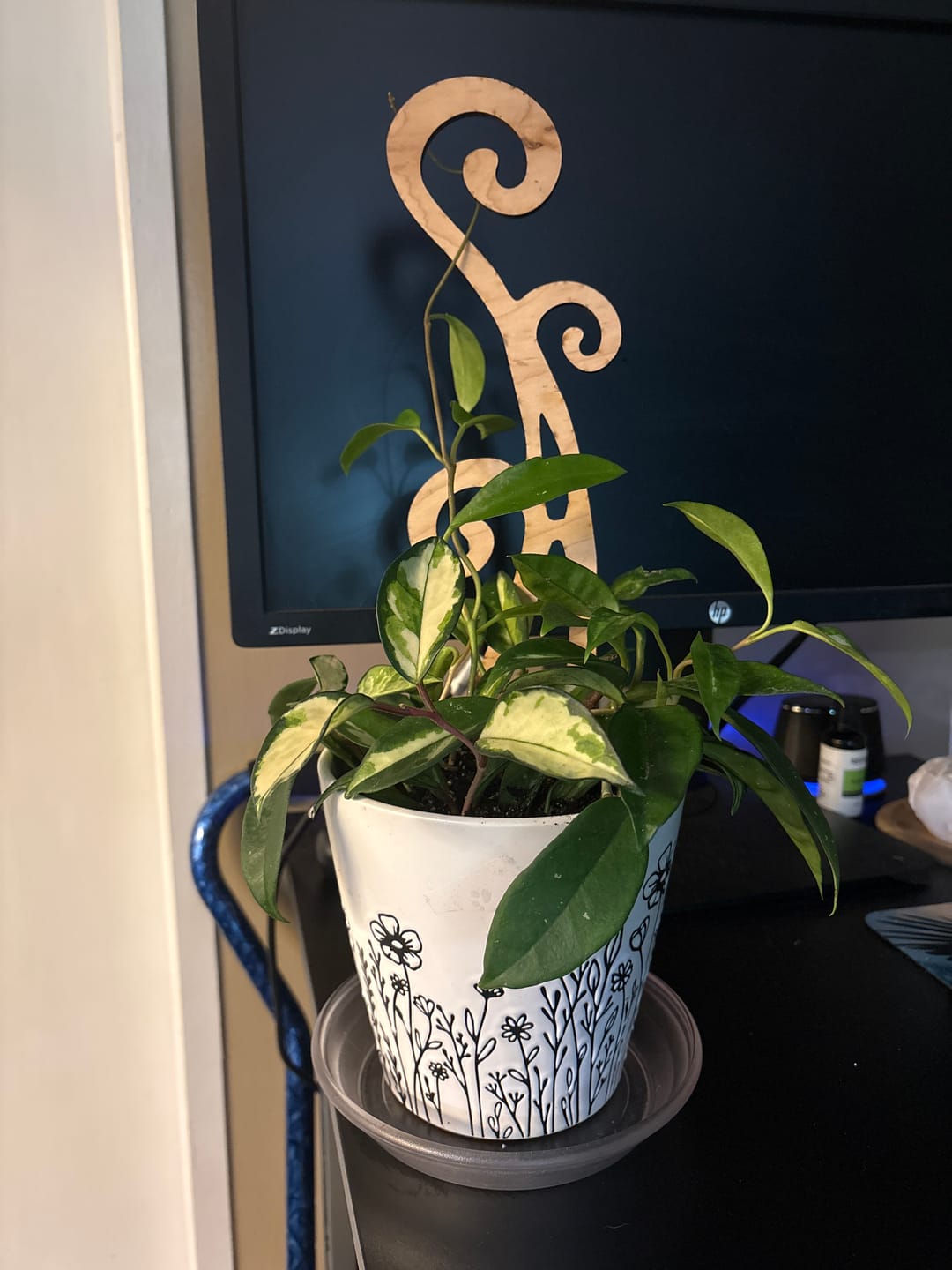 Customer photo review of BARE™ Flora™ - Customizable wooden plant support - Perfect for Orchids